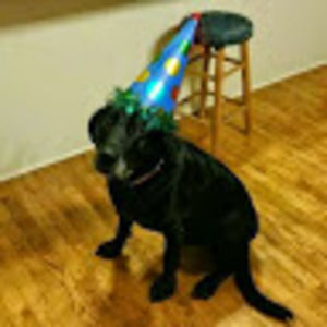 Meet your Posher, Adrienne.